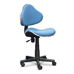 Компьютерное кресло Deluxe DLFC-09HLS
